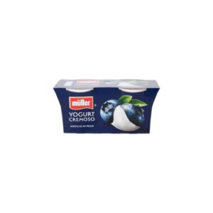 MULLER YOGURT CREMA MIRTILLO 2X125 GR