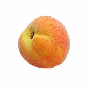 PESCHE
